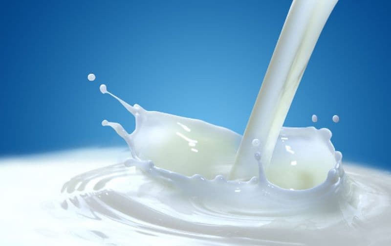 Mlečna kriza u Srbiji istakla je neravnotežu između proizvođača, prerađivača i trgovaca