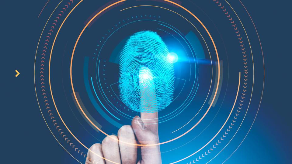 Dodata vrednost IKT sektora Srbije dostigla 180,6% proseka EU